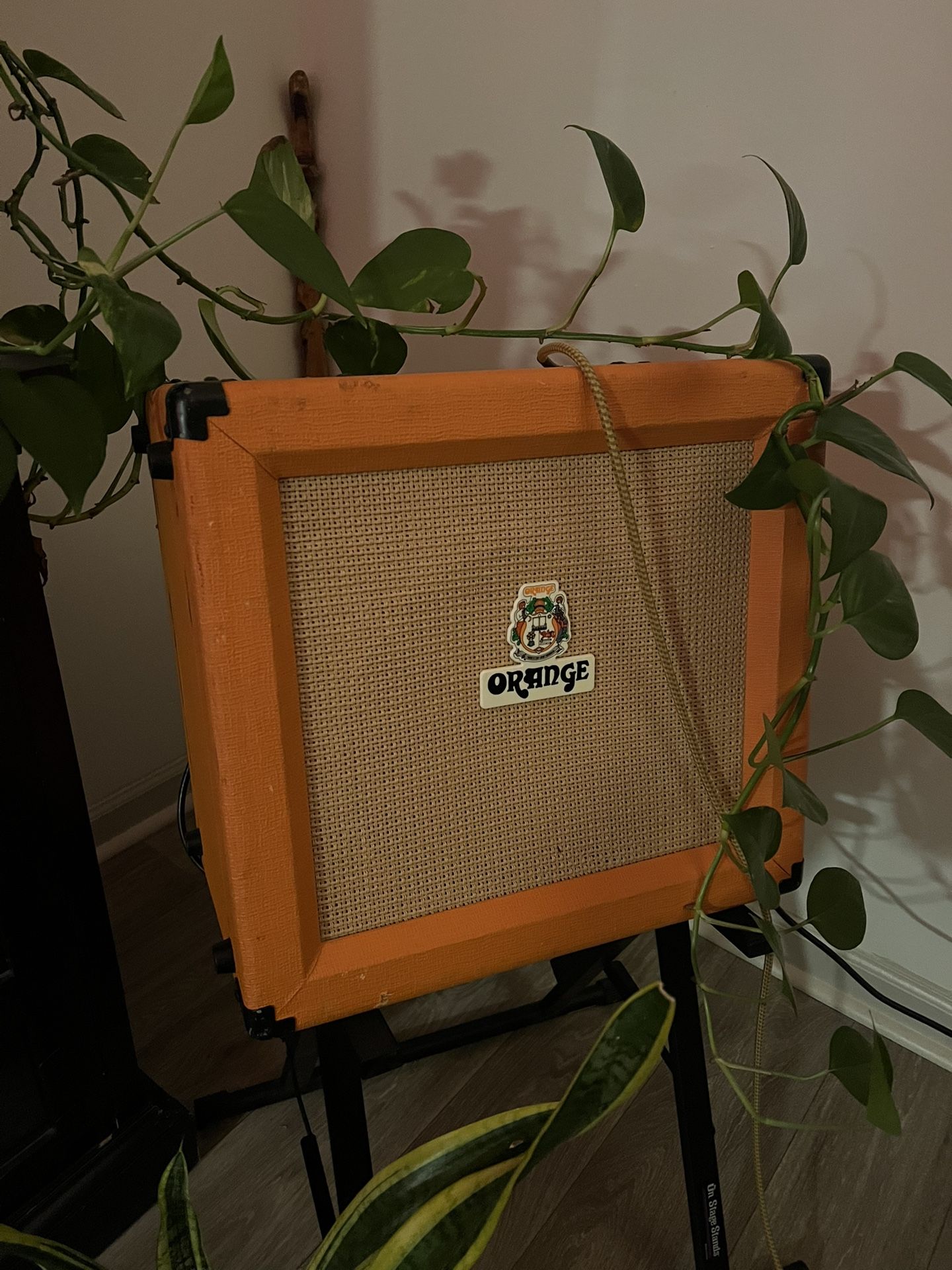 Orange Tiny Terror 15-Watt 1x12