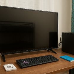 computer+tv gaming PC 