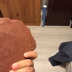 Reptile Or Basking Rock