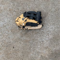 Rawlings Baseball Glove