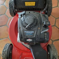  New Mower Briggs and Stratten
