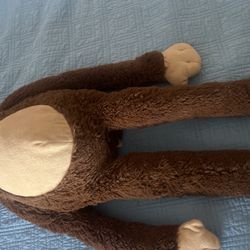 Monkey 