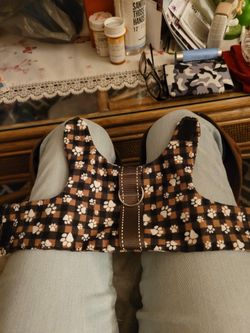 Puppy Vest With O Ring