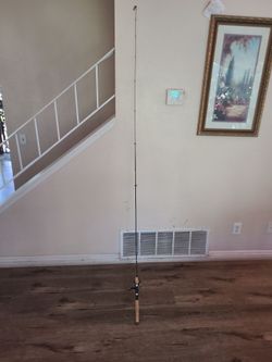 St croix rid and pflueger president reel