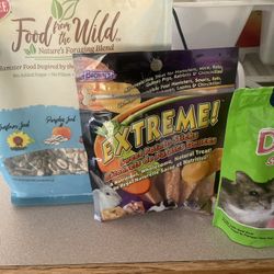 Everything You Need For Your Hamster