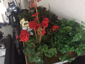 12 silk plants.