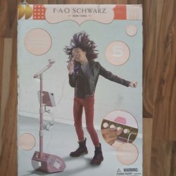 Karaoke Microphone With Stand 