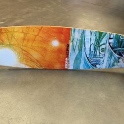 Skateboard Longboard Arbor Venice Waterman