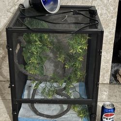 Chameleon  Cage 