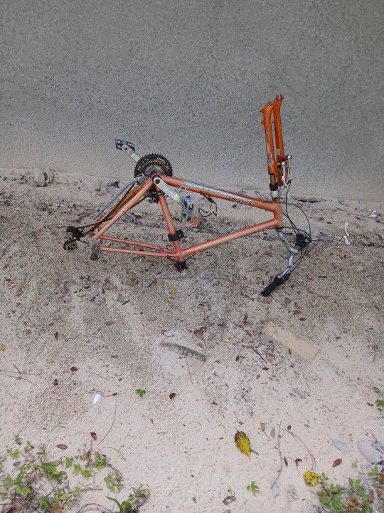 Raleigh Bike Frame