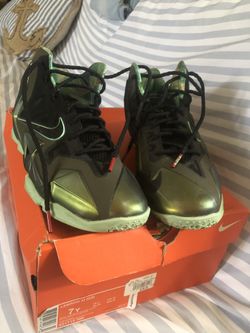 LEBRON X1 “ kings pride” (price negotiable)