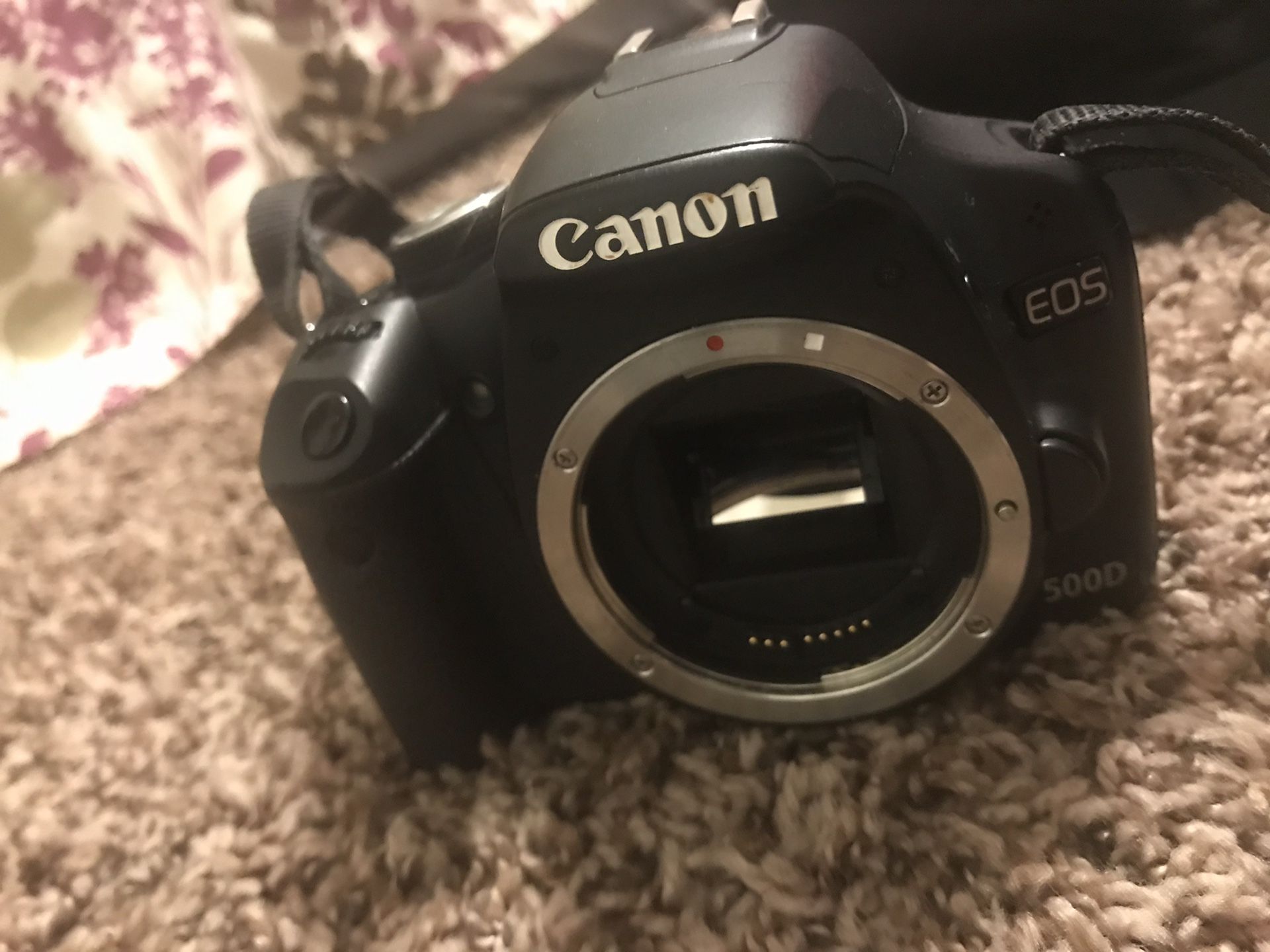 Canon 500D with 75-300mm canon lens