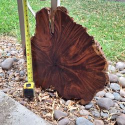 Mesquite Slab (polished)