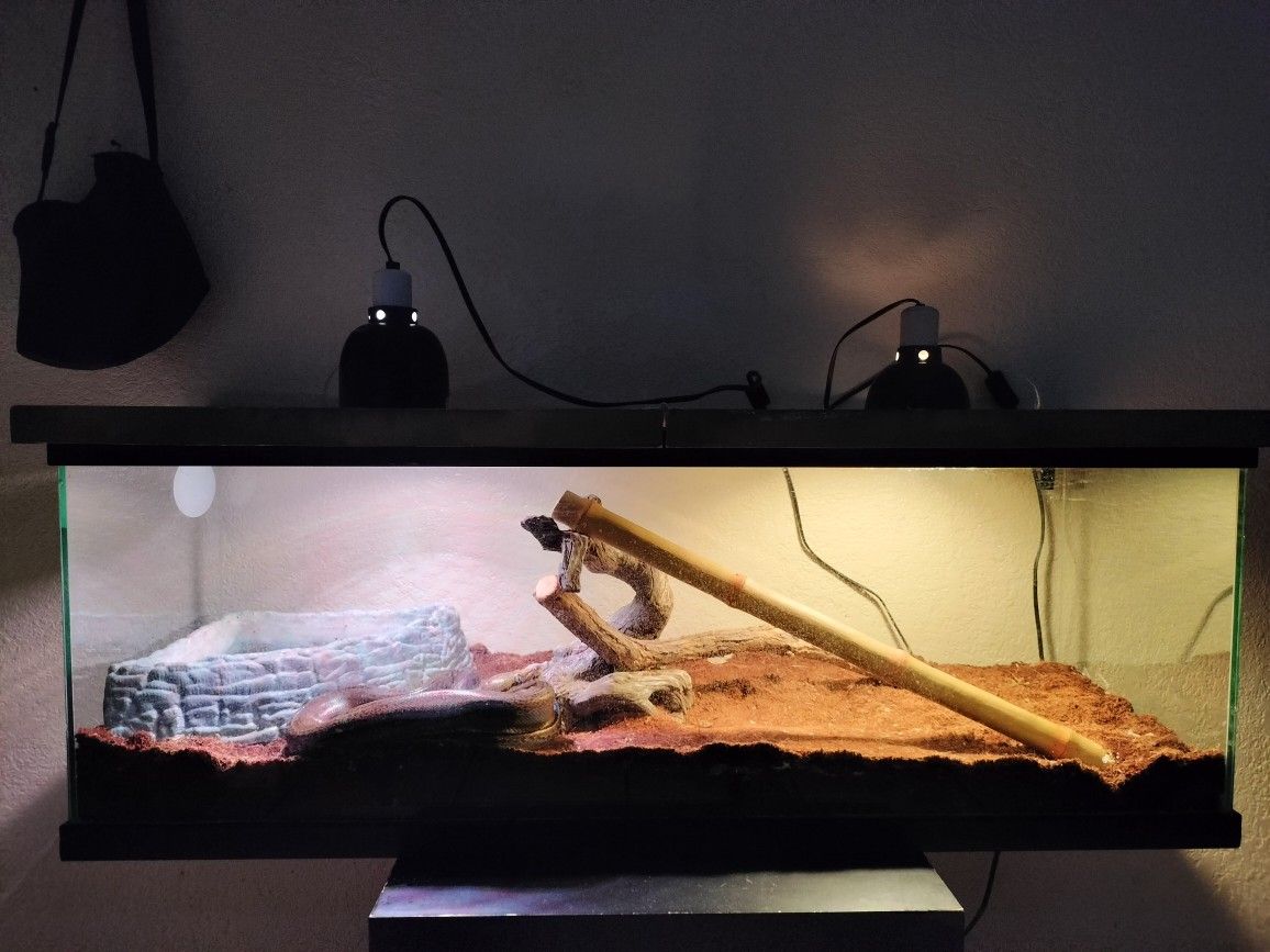 Reptile Tank/Enclosure
