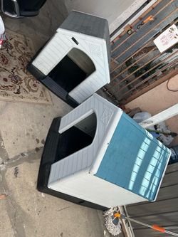 Dogs house