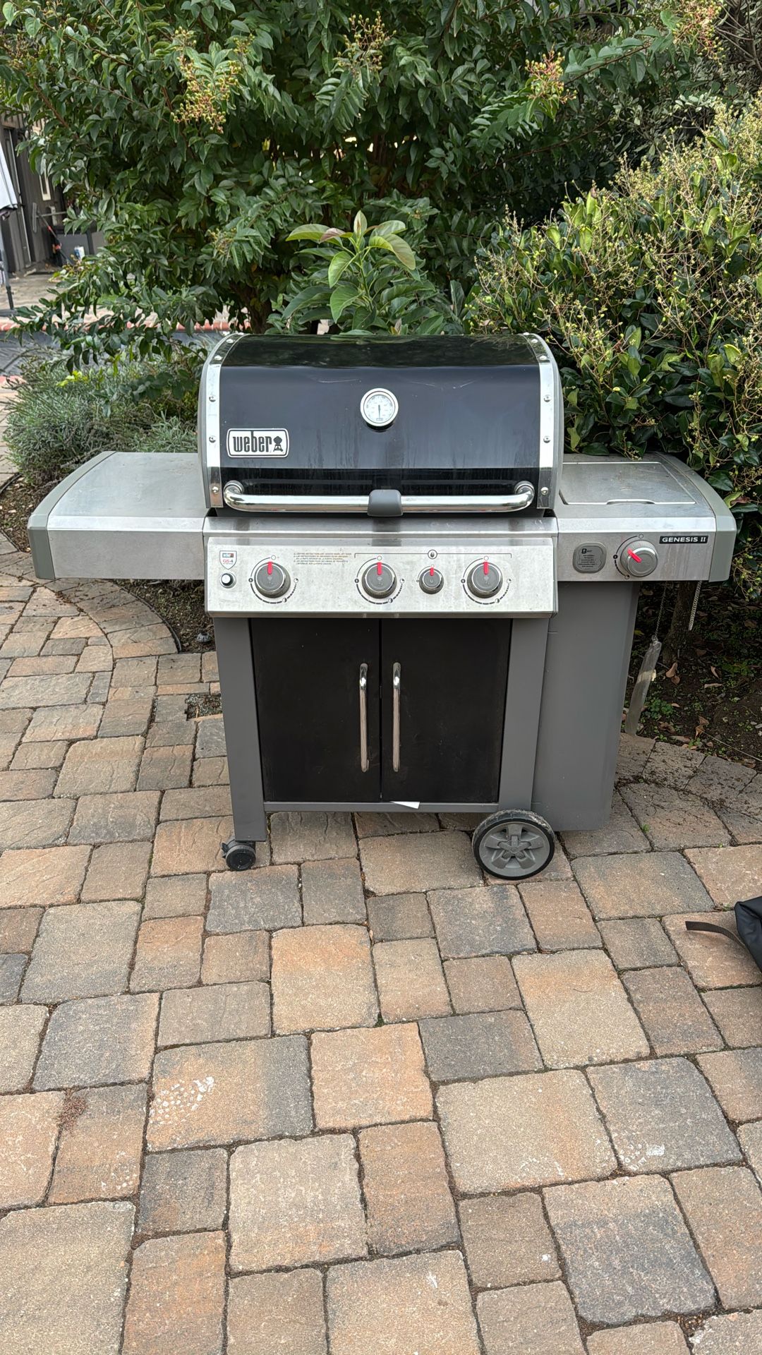 Weber Gas Genesis II Bbq