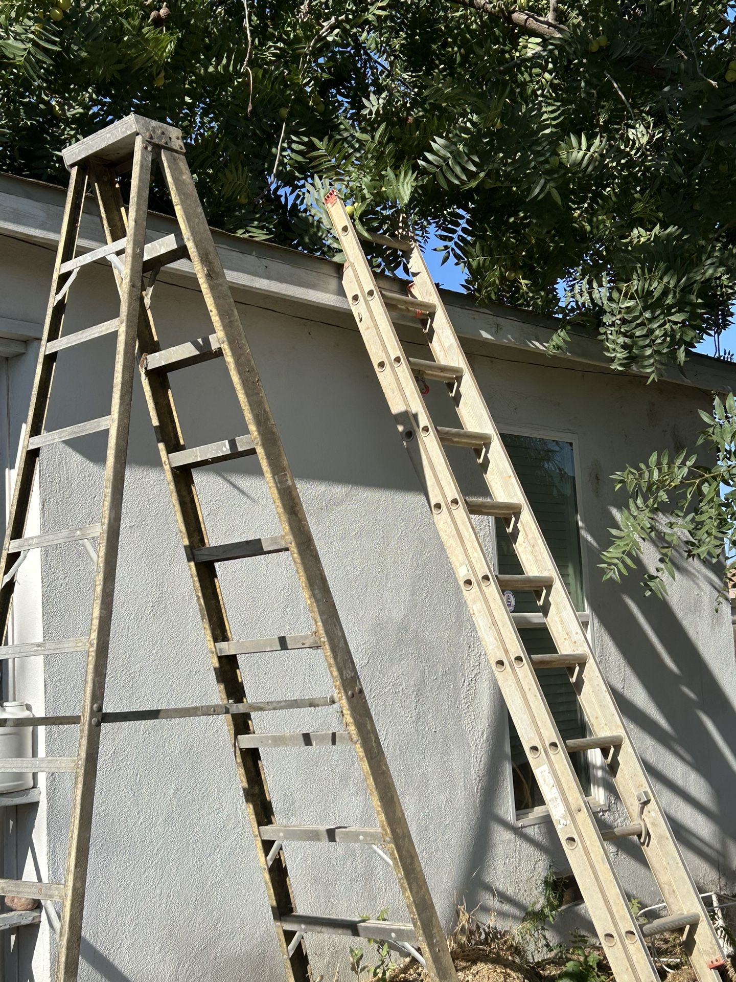 two ladders