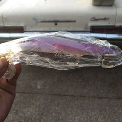 Fishing Double Hooked Agent