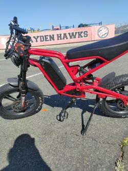 Electri bike