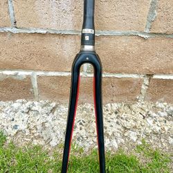 Specialized Fact Full Carbon Tapered 700C Fork