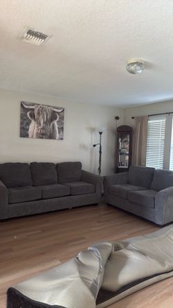 Couches for sale