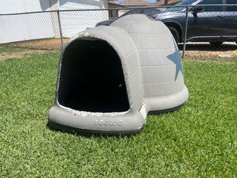 Dog House