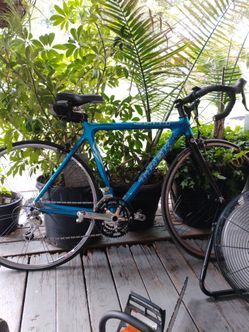 Trek cycling bike