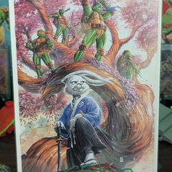 TMNT: USAGI YOJIMBO: WHEREWHEN #2 NM 2023 PEEJAY CATACUTAN VIRGIN VARIANT NM Signed By Kevin Eastman 