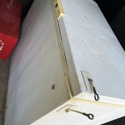 10.7 Cubic Ft Chest Freezer 