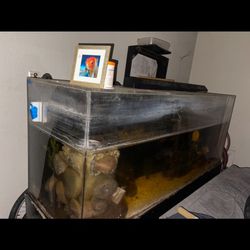 500 Gallon Fish Tank