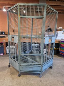 Huge Parrot Cage..