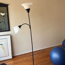 Standing Dual lamp