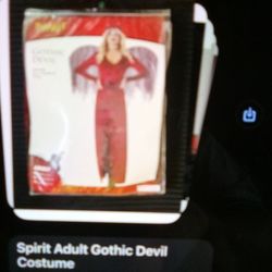 Spirit Adult Gothic Devil Costume 