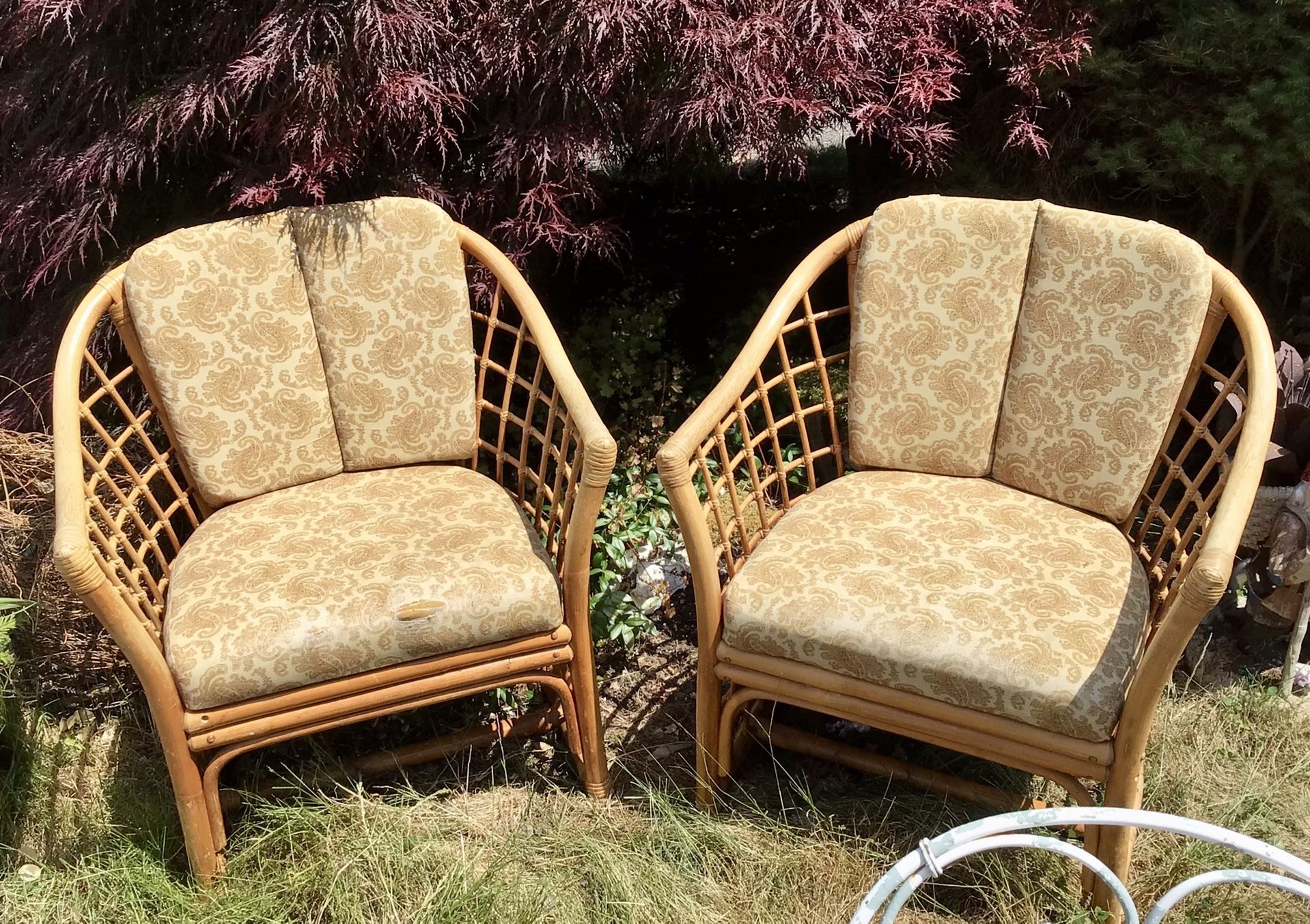 Vintage Rattan Chairs With Original Matching Paisley Pattern Cushions