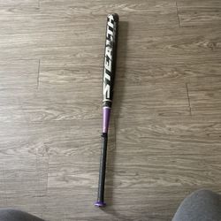 FastPitch Softball Bat