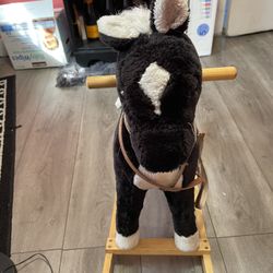 Baby Horse