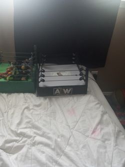 KIDS WRESLTING RING