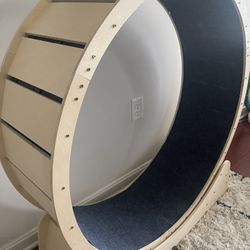 Cat Wheel