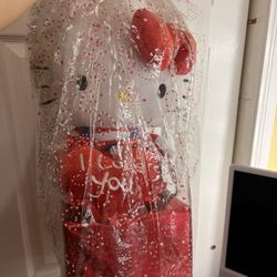 Hello Kitty Plush Gift