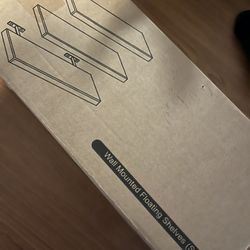 Wall Mounted Floating Shelves (Set of 3)