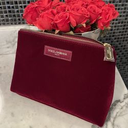 Dolce and gabbana Beauty Makeup Bag