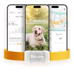 Pet Cube Tracker For Dogs 