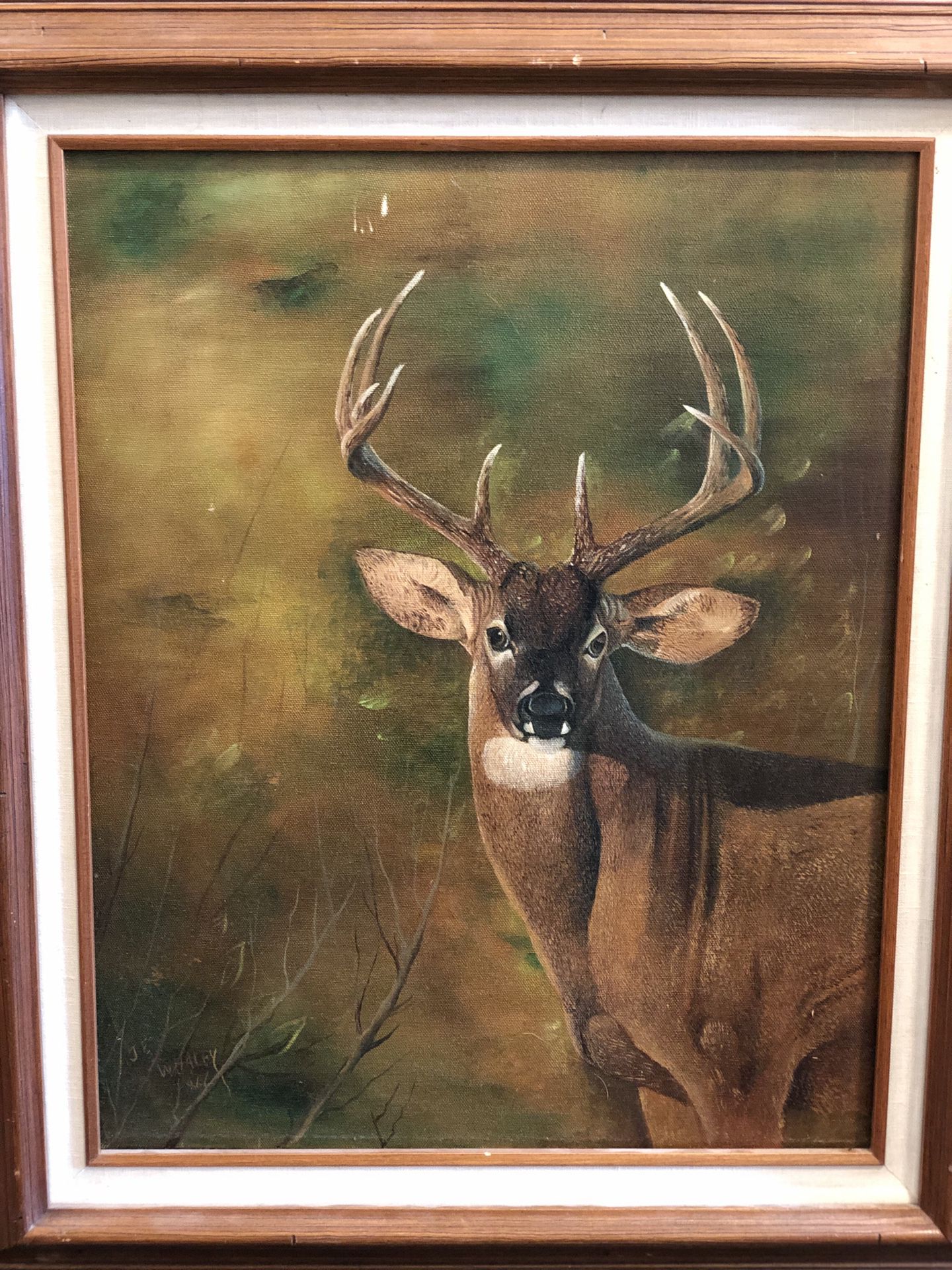 Majestic Stag Painting by JE Whaley