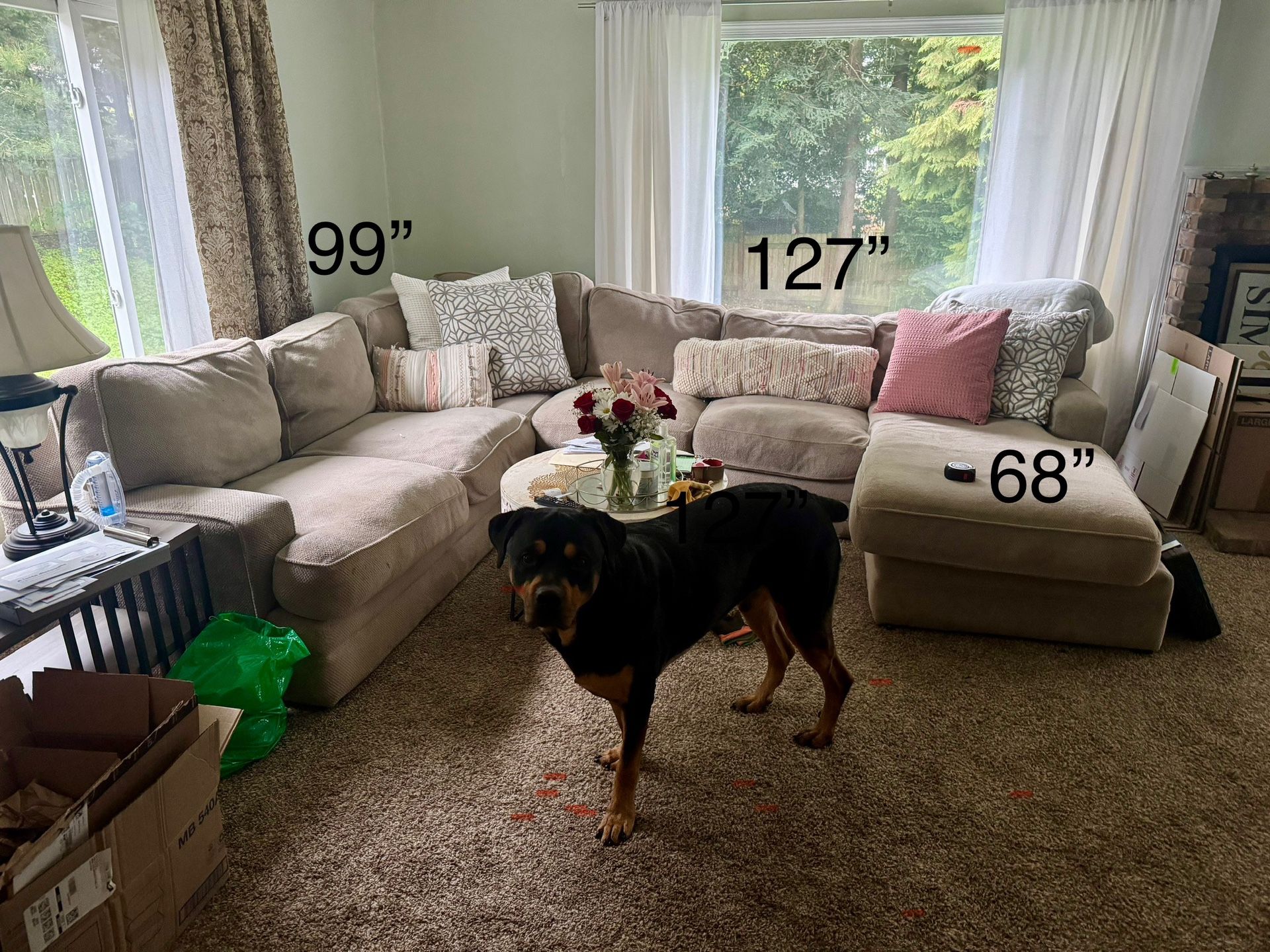 Couch/Sofa/Sectional