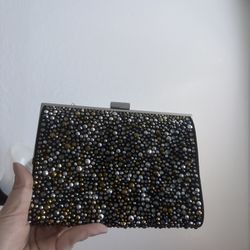 Clutch Purse 