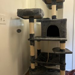 Cat House