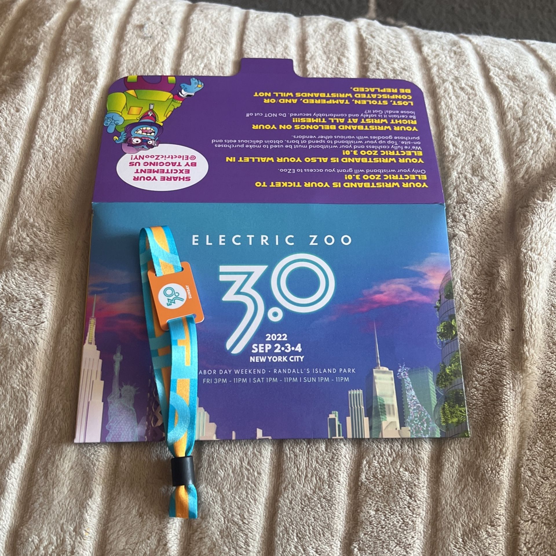 Electric zoo SUNDAY ONLY - GA ticket