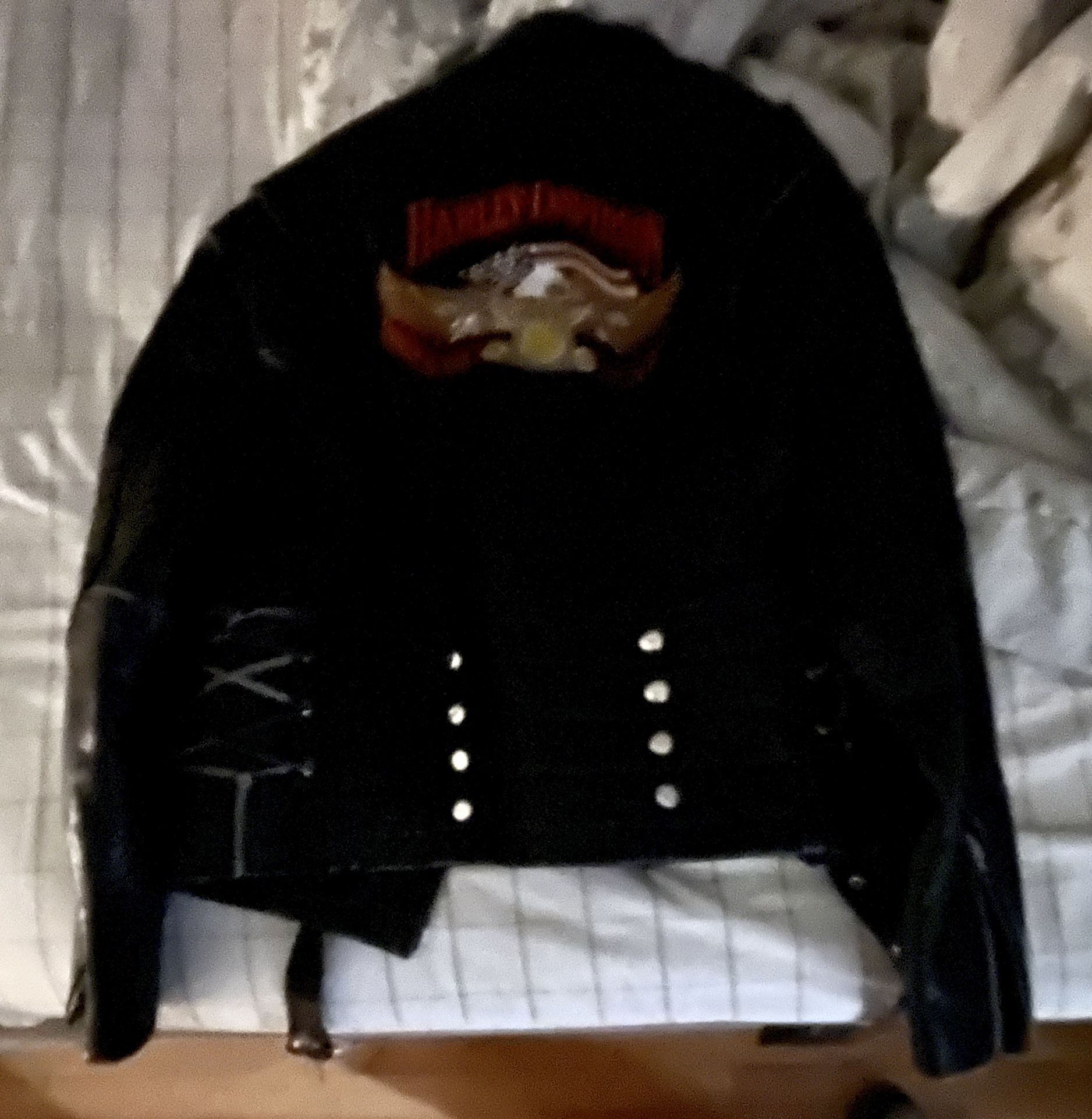 Harley Davidson Motorcycle Leather Jacket (Men)