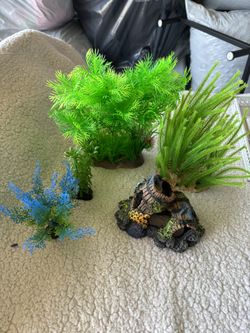 Aquarium Decor