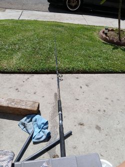 Fishing road